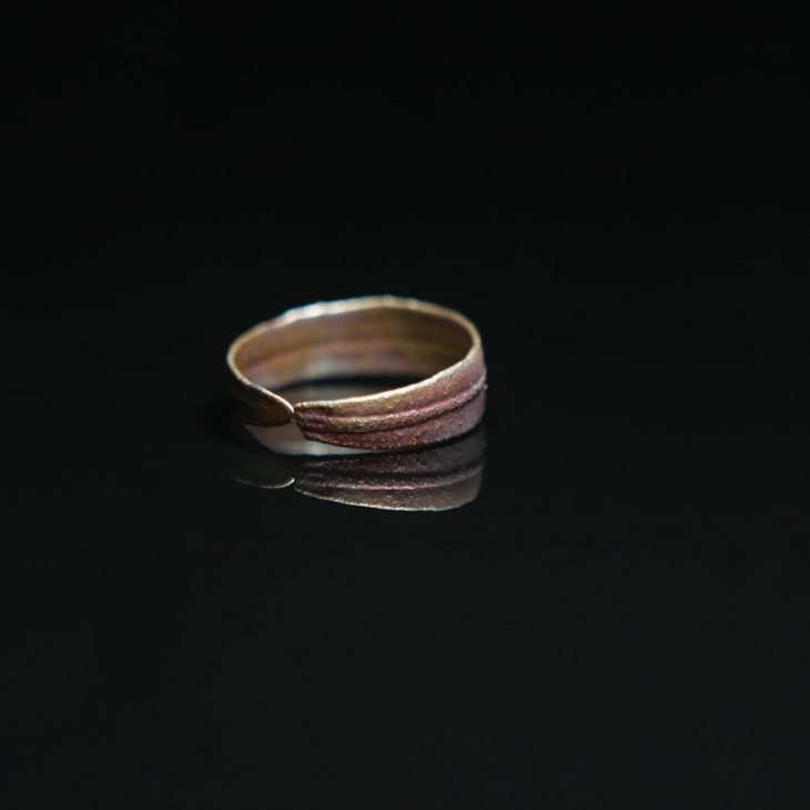Ring in silver Melancholy, Sea buckthorn, фото 1